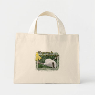 En av de där dagspaketet mini tygkasse