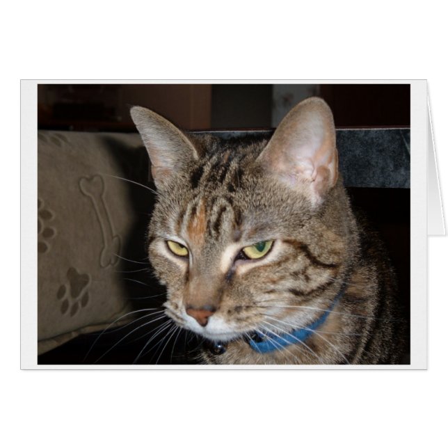 En av dessa dagar hälsningskort (Framsidan Horizontal)