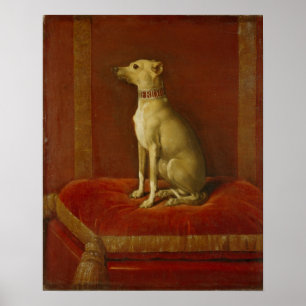 En av Frederick II:s italienska greyhound Poster