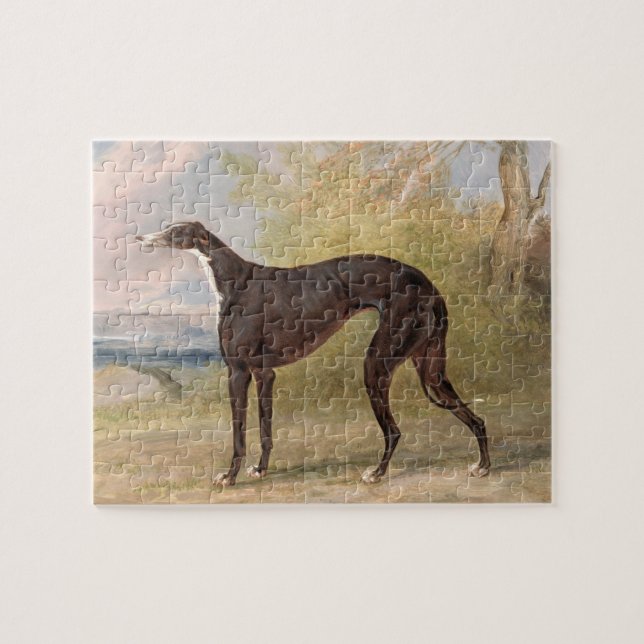 En av George Laneräv vinnande vinthundar: bet Pussel (Horisontell)