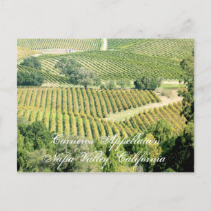 En av Napa Valleys många appellationer eller regio Vykort