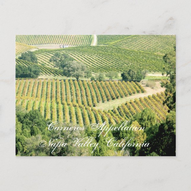 En av Napa Valleys många appellationer eller regio Vykort (Framsida)