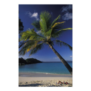 En av världens bästa stränder; Trunk Bay på Fototryck