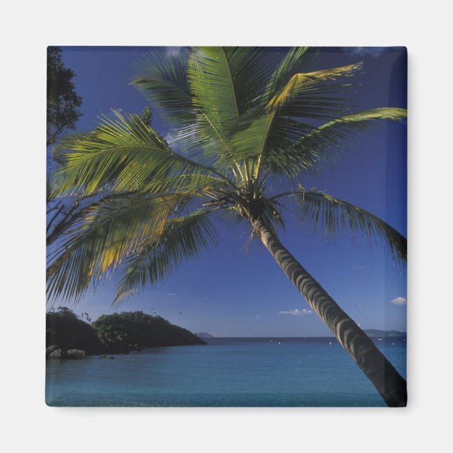 En av världens bästa stränder, Trunk Bay på Magnet (Framsidan)