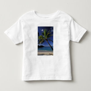 En av världens bästa stränder; Trunk Bay på Tee