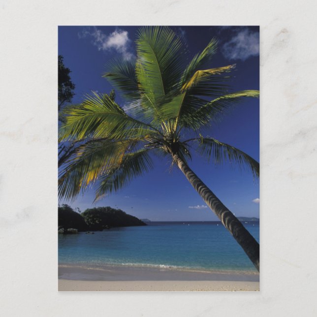 En av världens bästa stränder, Trunk Bay på Vykort (Framsida)