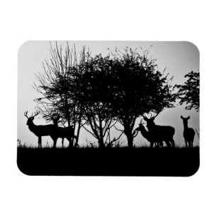 En avbilda av någon hjort i morgonmisten magnet