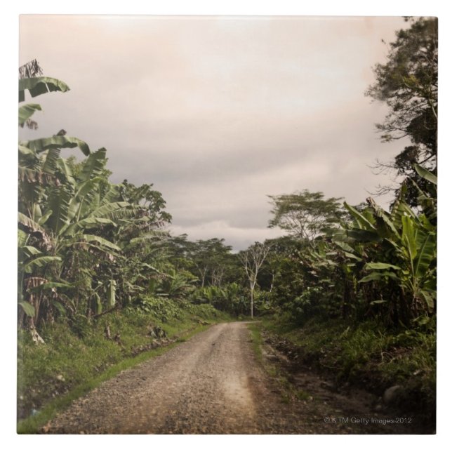 En avlägsen djungelväg kakelplatta (Framsidan)