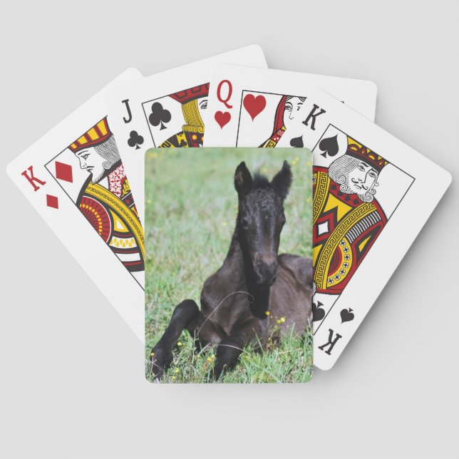 En baby-häst i ängen spel kort (Baksidan)