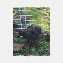 En baby Silkie Fleecefilt