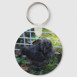 En baby Silkie Nyckelring