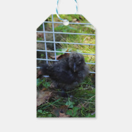 En baby Silkie Presentetikett