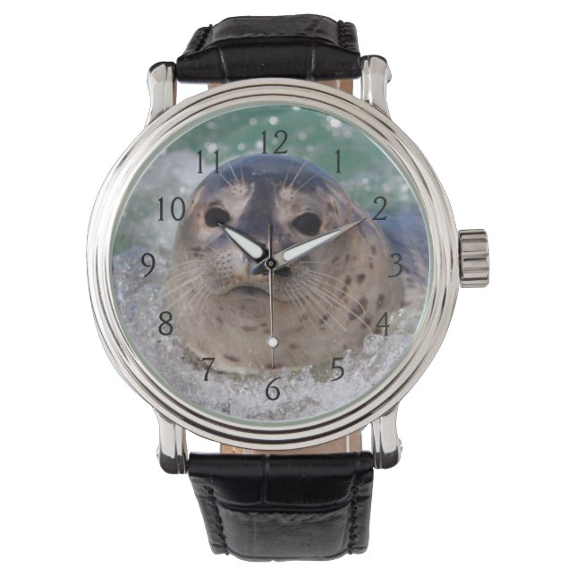 En babysäl som surfar armbandsur (Framsida)
