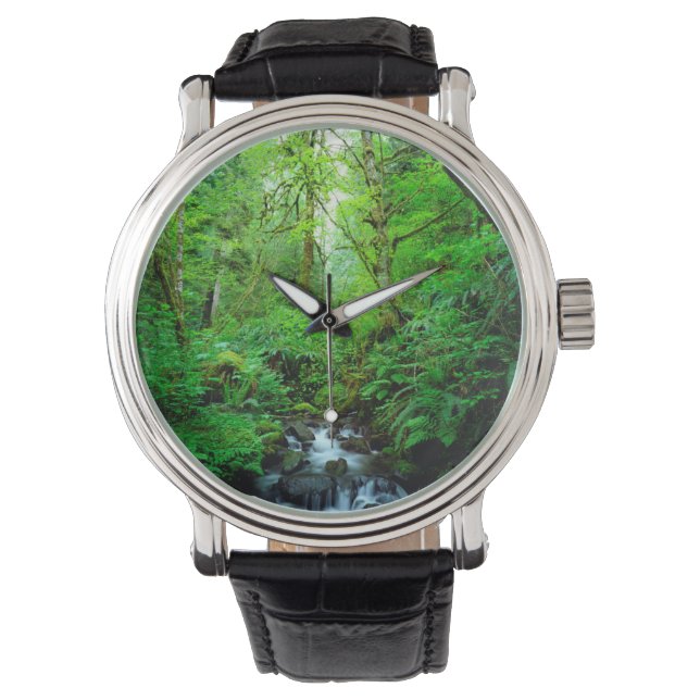 En bäck i en gammal skog armbandsur (Framsida)