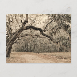 En båge med inläggskort vykort