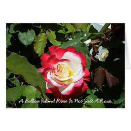 En Balboaöro är så unik som dig Hälsningskort