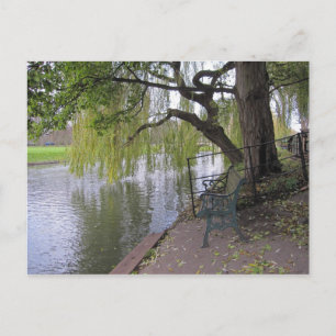 En bänk av Cam Postcard Vykort