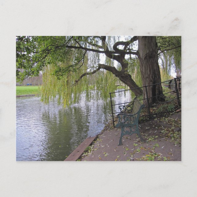 En bänk av Cam Postcard Vykort (Framsida)