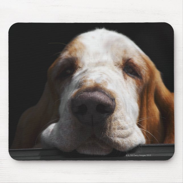 En Basset Hound vilade sitt huvud Musmatta (Framsidan)