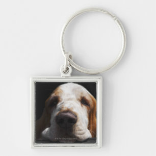En Bassethund som vilar hans huvud Fyrkantig Silverfärgad Nyckelring