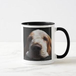 En Bassethund som vilar hans huvud Mugg