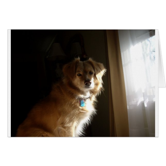 En bekvämlighetshämmare OBS kort (Framsidan Horizontal)