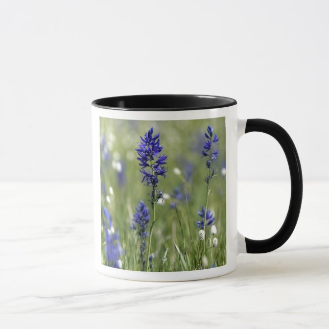 En bergsäng med vilda blommor inklusive mugg (Höger)