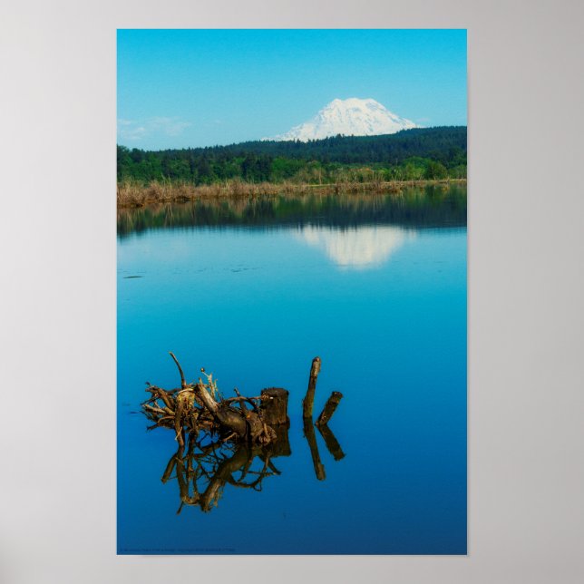 En bergsPeers över en hedge Poster (Framsidan)