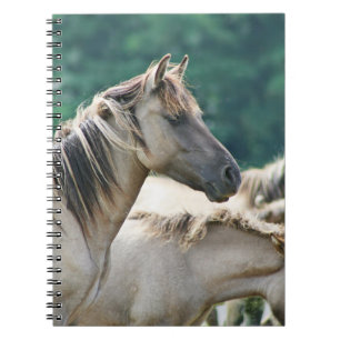 En besättning av Brumby Horses från Australien Anteckningsbok Med Spiral