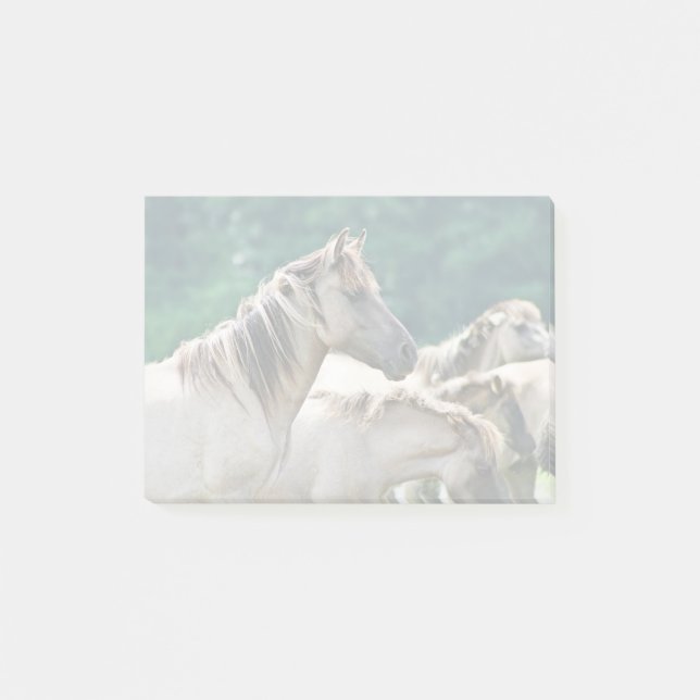 En besättning av Brumby Horses från Australien Post-it Block (Framsida)