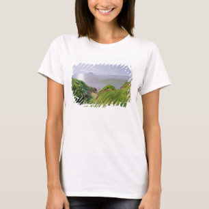 En beskåda av Ailsa Craig och islen av Arran, 186 Tee