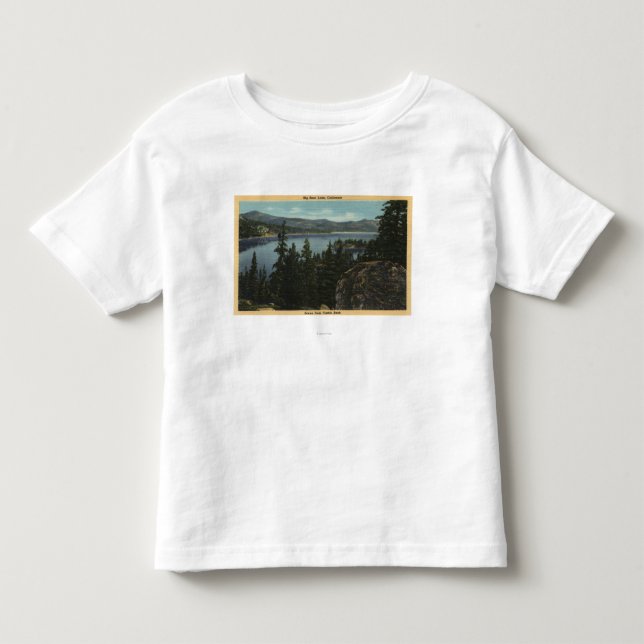 En beskåda av sjön från slottsten t shirt (Framsida)