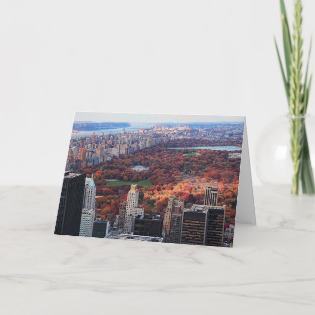 En beskåda från över: Höst i Central Park 01 Kort (Framsida)