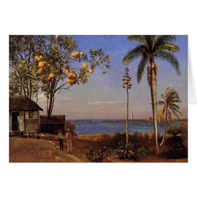 En beskåda i Bahamas - Alberten Bierstadt Hälsningskort (Framsidan Horizontal)