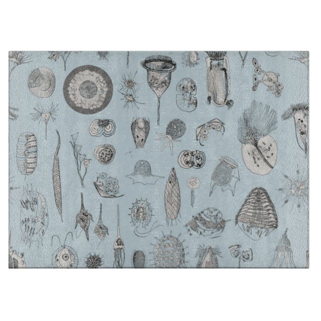 En bestiarius av urdjuret (Framsidan)