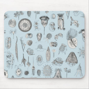 En bestiarius av urdjuret musmatta