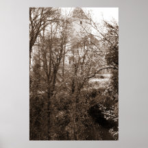 En bild av träsket från skogen