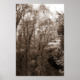 En bild av träsket från skogen poster