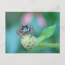 En bit jumpy? vykort