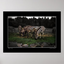 En bit Zebröder Poster