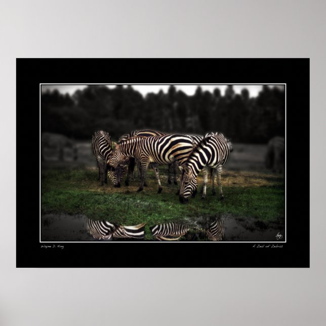 En bit Zebröder Poster (Framsidan)