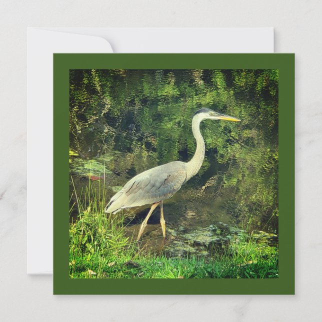 En blå heron (Framsida)