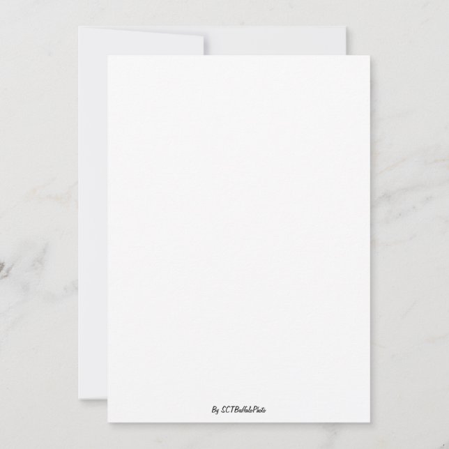 En Bländande Syn Inbjudningar (Baksida)