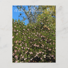 En blommande Alla hjärtans dag! vykort