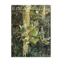 En blommande Alla hjärtans dag! vykort