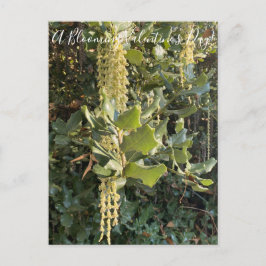 En blommande Alla hjärtans dag! vykort