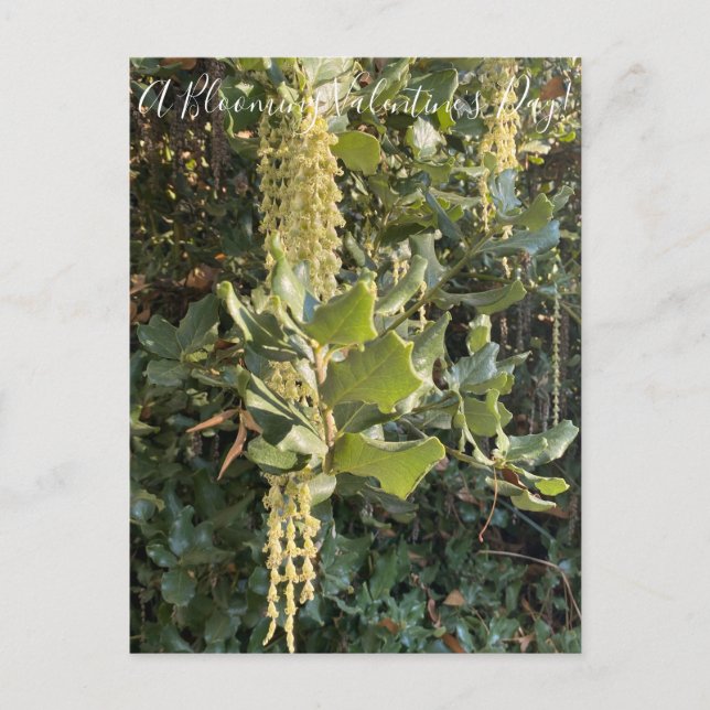 En blommande Alla hjärtans dag! vykort (Framsida)