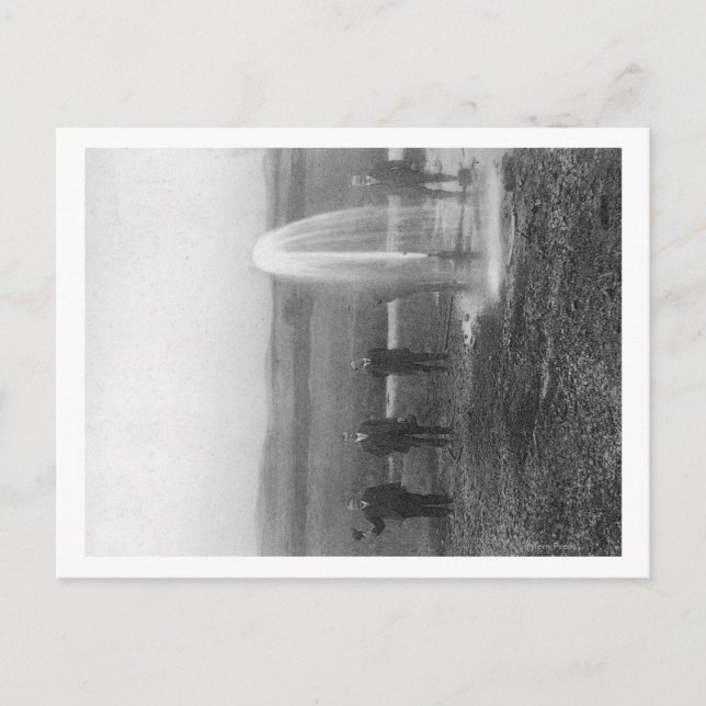 En blommande brunn i Judith BasinMontana Vykort (Framsida)