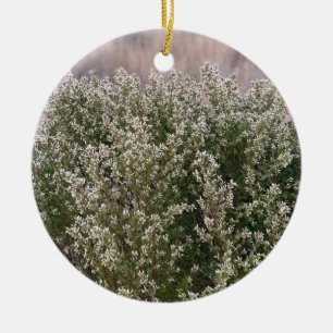 En blommande Kalifornien: Coyote Bush Julgransprydnad Keramik