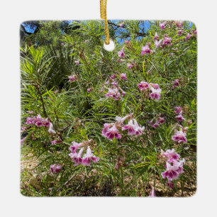 En blommande Kalifornien: Desert Willow Julgransprydnad Keramik